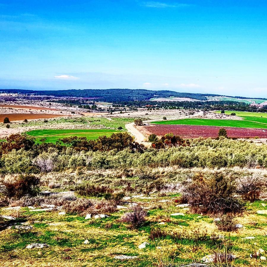 Kibbutz Nachshon Bed and Breakfast Buitenkant foto