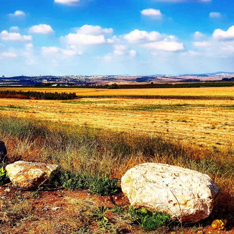 Kibbutz Nachshon Bed and Breakfast Buitenkant foto