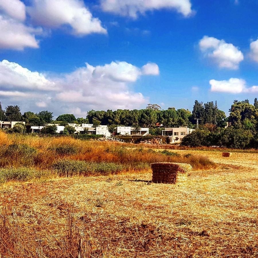 Kibbutz Nachshon Bed and Breakfast Buitenkant foto